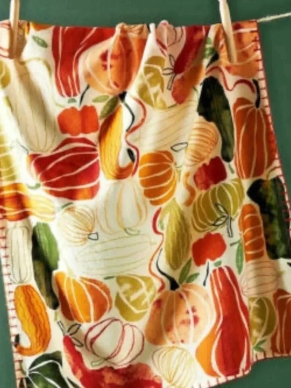 NWT Anthropologie Harvest Pumpkin Kitchen Dish Towel